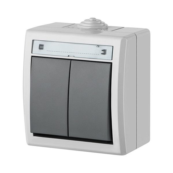 Двоклавішний вимикач Elektro-Plast Aquant IP55 сірий