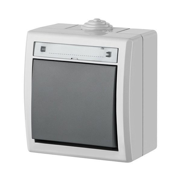 Одноклавішний вимикач Elektro-Plast Aquant IP55 сірий